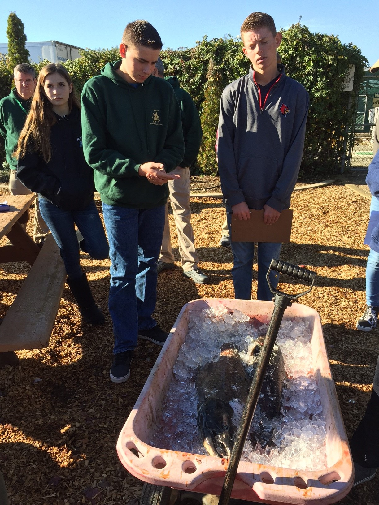 Danielle Nicolay, Gage Worth, and Bret Nelsen observe the body of a salmon