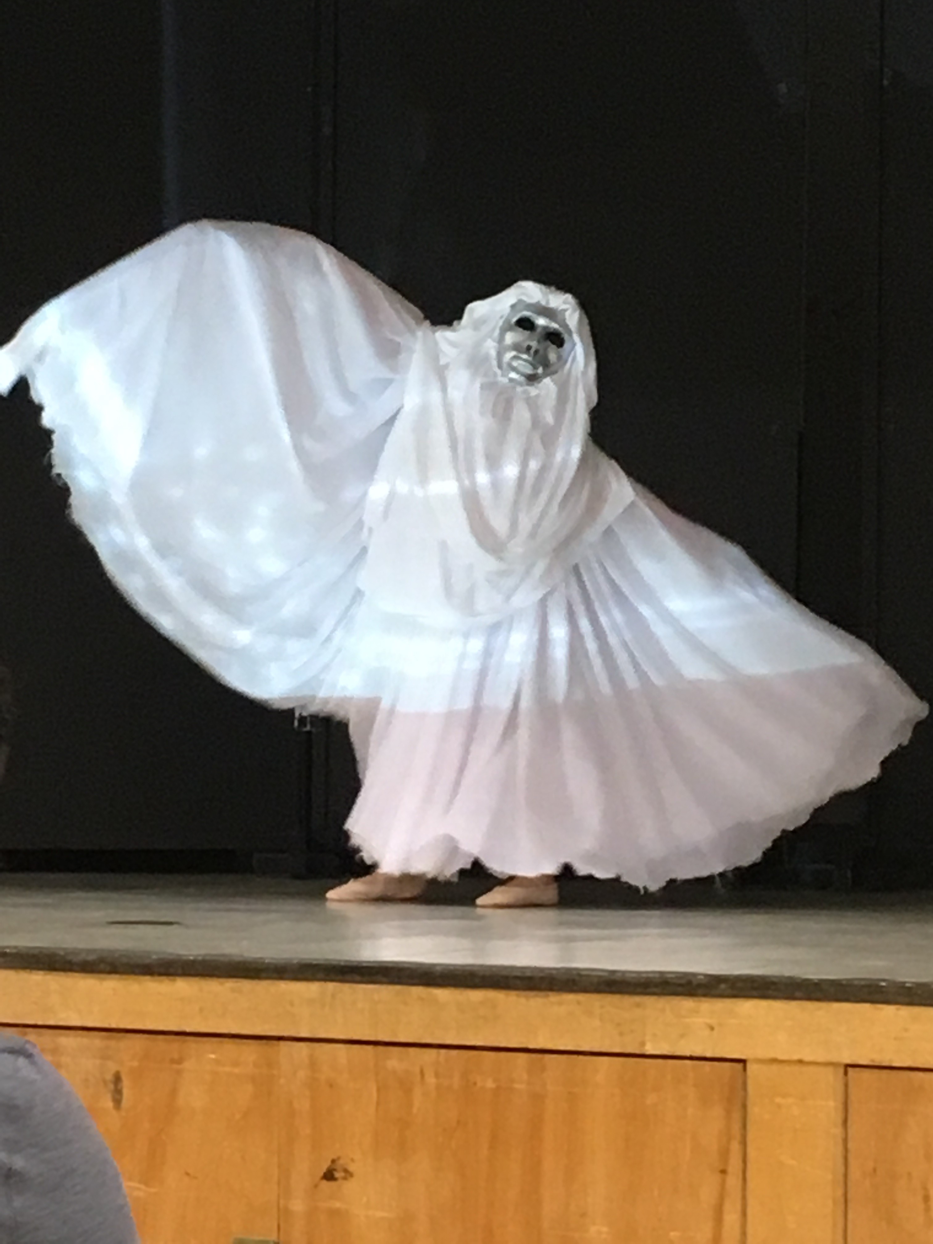 Students performing the serpentine dance